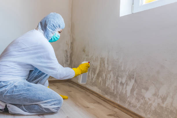 Best Attic Mold Removal  in Double Oak, TX