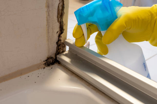 Best Mold Remediation  in Double Oak, TX