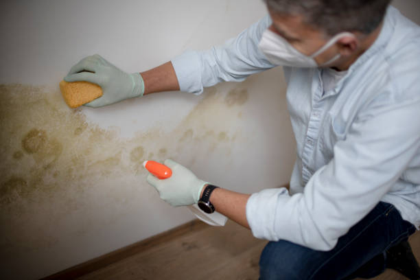 Best Mold Remediation Services  in Double Oak, TX