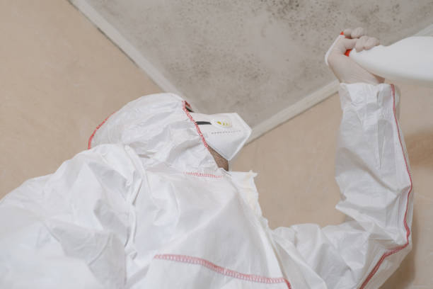 Best Emergency Mold Removal  in Double Oak, TX