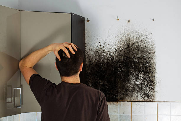 Best Crawl Space Mold Removal  in Double Oak, TX